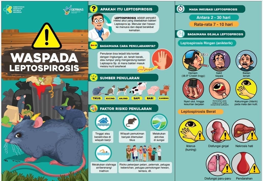 Waspada Leptospirosis